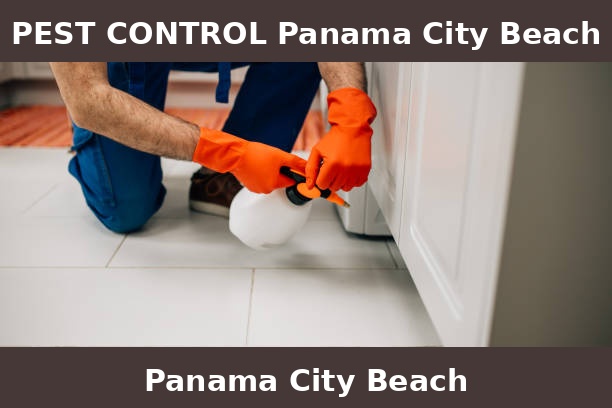 PEST CONTROL Panama City Beach